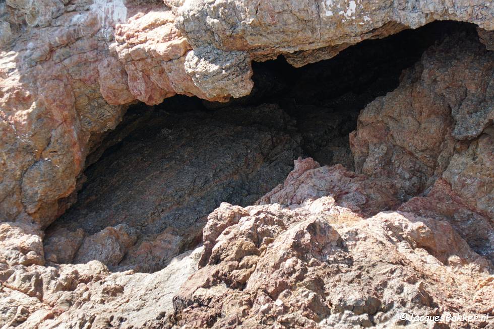 Boottocht Isla Cueva de Lobos